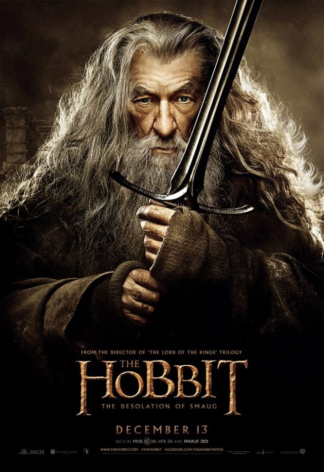 Hobbit: Smaug'un Çorak Toprakları Fotoğrafı
