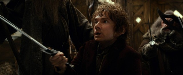 Hobbit: Smaug'un Çorak Toprakları Fotoğrafı