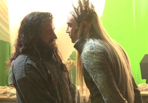 Hobbit: Smaug'un Çorak Toprakları Fotoğrafı