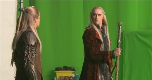 Hobbit: Smaug'un Çorak Toprakları Fotoğrafı