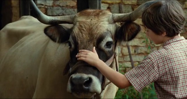 Büyülü Krallık fotoğrafı