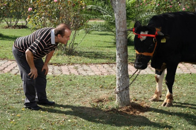 Zengin Kız Fakir Oğlan Fotoğrafı
