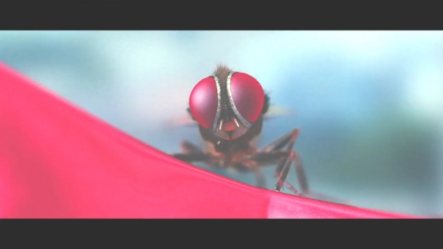 Eega Kara Sineğin İntikamı Fotoğrafı