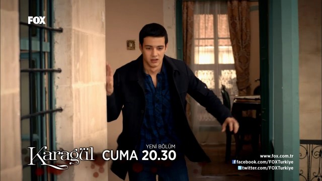 Karagül Fotoğrafı