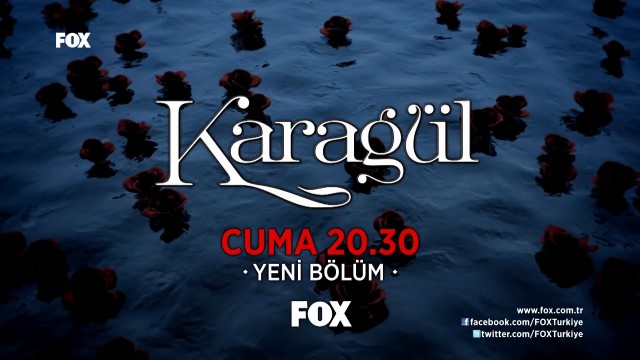 Karagül Fotoğrafları 65