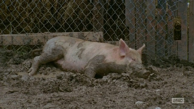 The Walking Dead Fotoğrafı