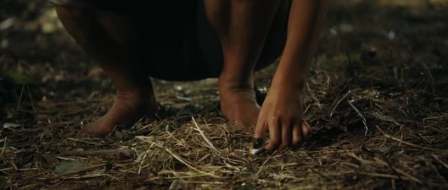 Kim'in Adası Fotoğrafı