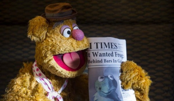Muppets Aranıyor Fotoğrafları 11