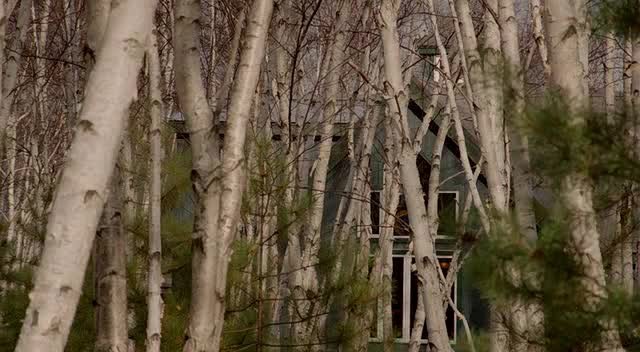 Karanlık Gerçek Fotoğrafı