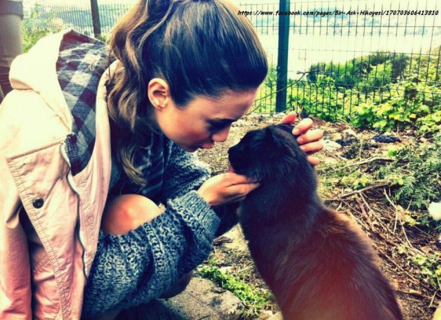 Bir Aşk Hikayesi Sezon 1 Fotoğrafı