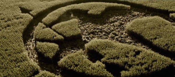 Açlık Oyunları: Alaycı Kuş Bölüm 1 Fotoğrafı