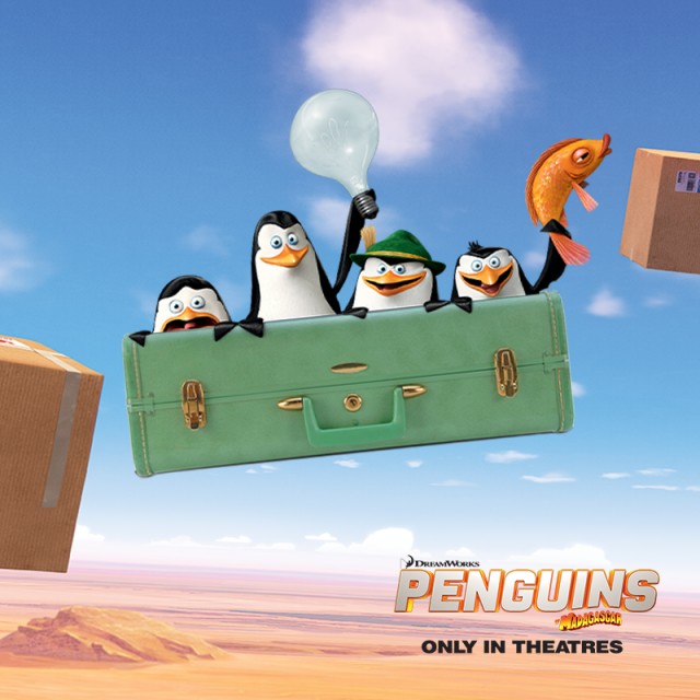 Madagaskar Penguenleri Fotoğrafı