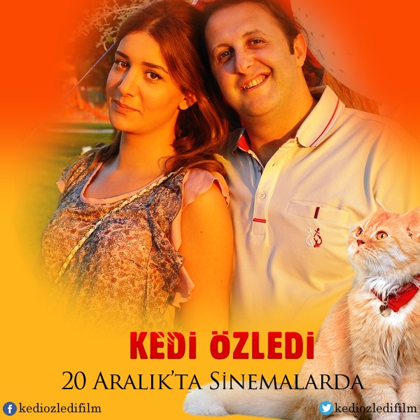 Kedi Özledi Fotoğrafları 12