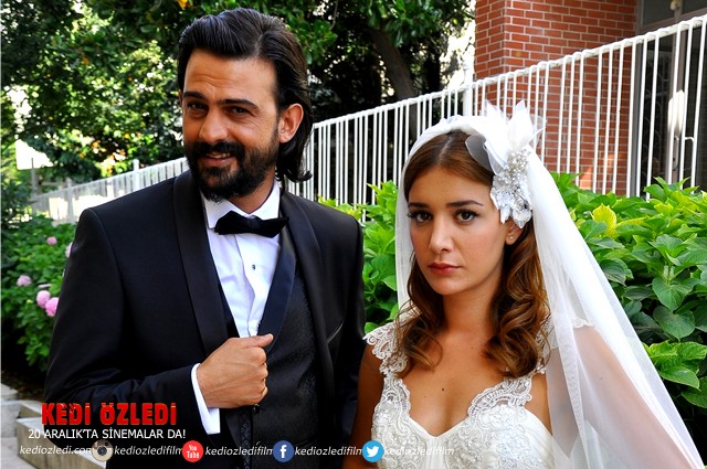 Kedi Özledi Fotoğrafı