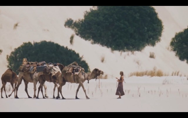 Çöldeki İzler Fotoğrafı