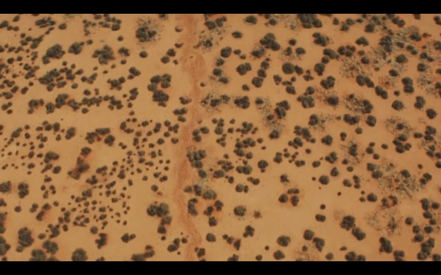 Çöldeki İzler Fotoğrafı