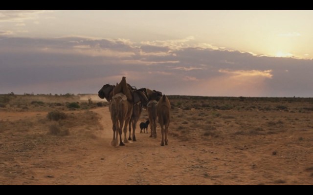 Çöldeki İzler Fotoğrafı