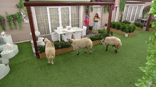 Çocuklar Duymasın Fotoğrafı