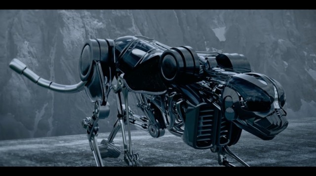 Koyakatsi Fotoğrafı