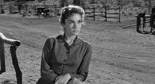 Gönüllü Katil Fotoğrafı