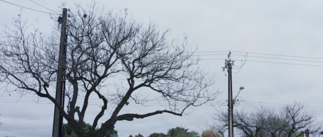 Karabasan Fotoğrafı