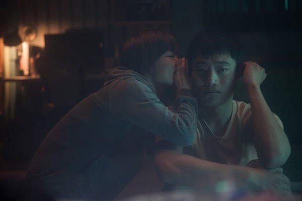 Dear Dolphin Fotoğrafı