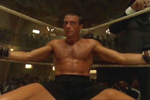 Çöl Kaplanı Fotoğrafı