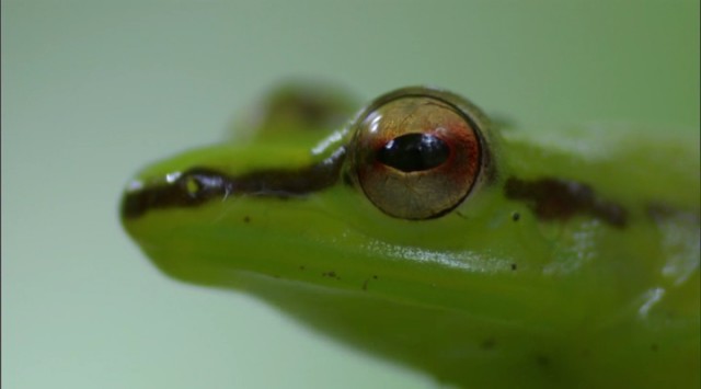 Madagaskar Fotoğrafları 13