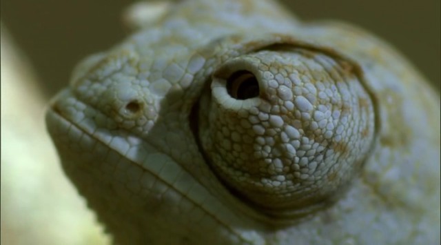 Madagaskar Fotoğrafı