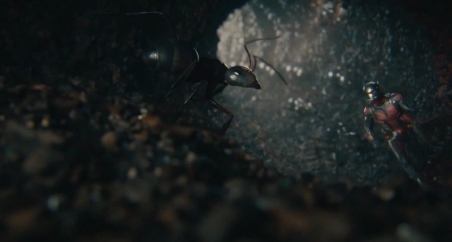 Ant-Man Fotoğrafı