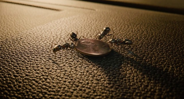 Ant-Man Fotoğrafı
