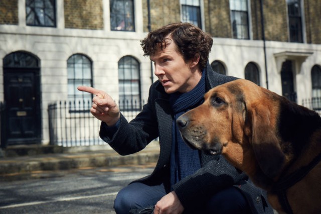 Sherlock Fotoğrafı