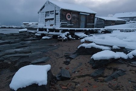 Ada Fotoğrafları 10