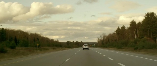 Ölüm Ormanı Fotoğrafı