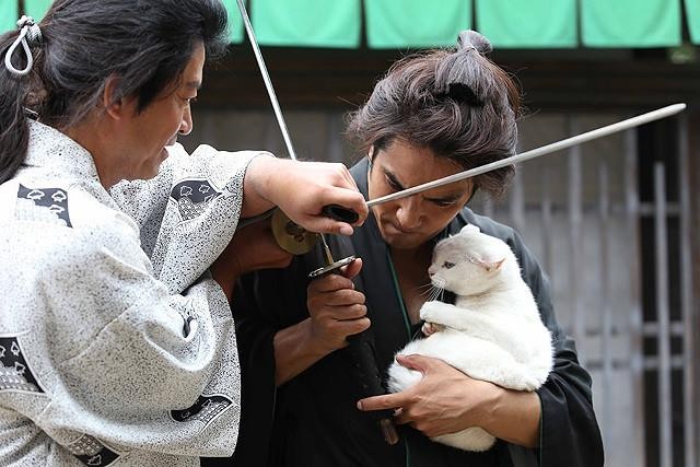 Neko Zamurai Fotoğrafı