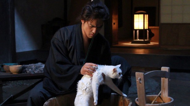 Neko Zamurai Fotoğrafı