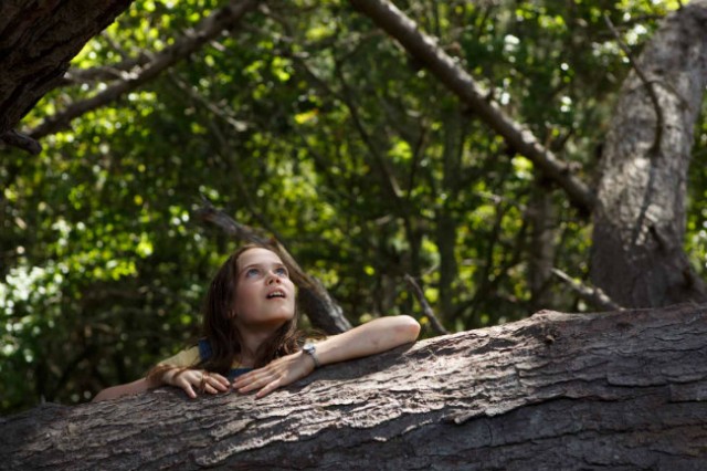 Pete ve Ejderhası Fotoğrafı