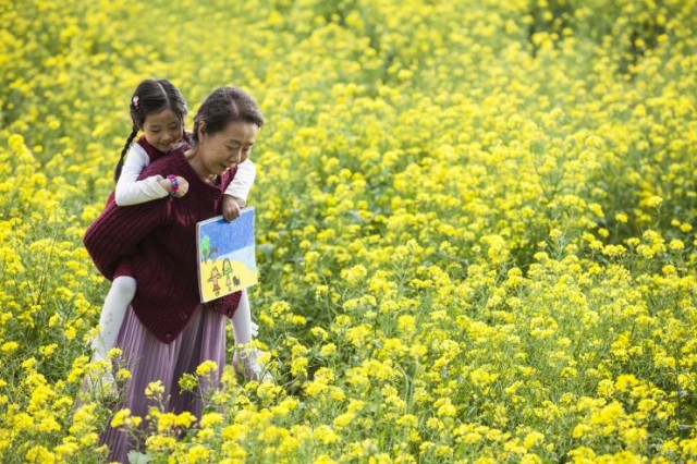 Canola Fotoğrafları 15