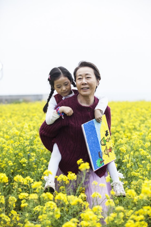 Canola Fotoğrafı