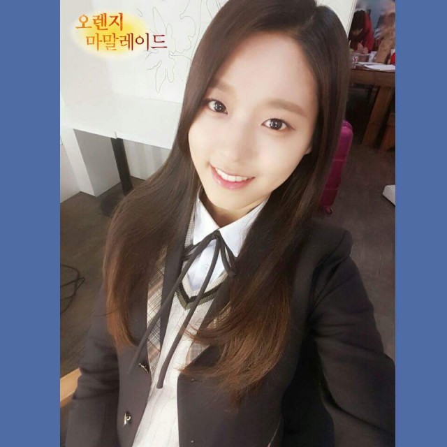 Orange Marmalade Fotoğrafı