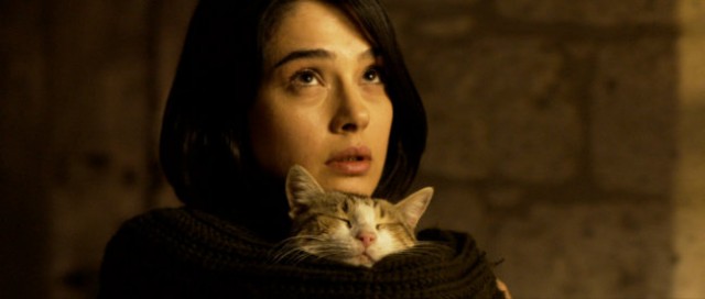 Tereddüt Fotoğrafı