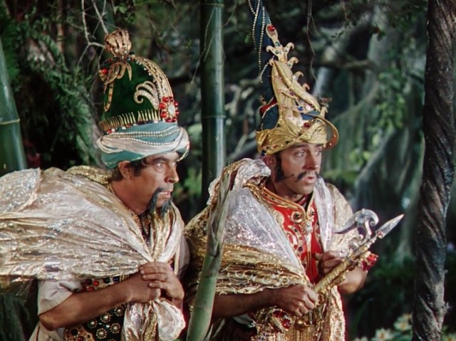 Ormanın Kitabı Fotoğrafı