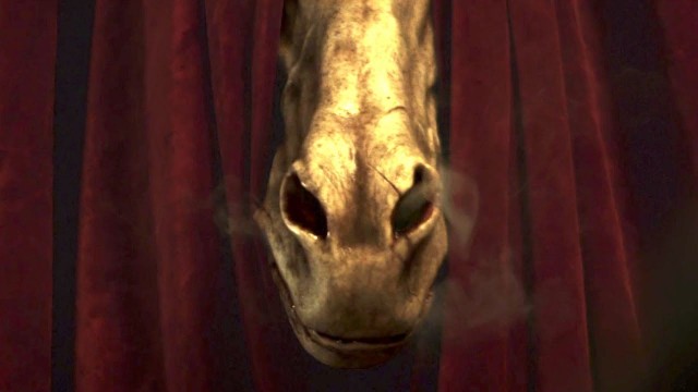 Horsehead fotoğrafı