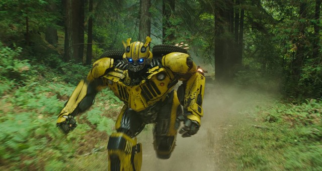 Bumblebee Fotoğrafları 249