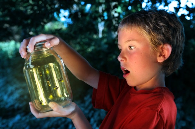 Catching Fireflies Fotoğrafları 1