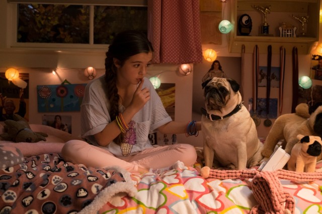 Ortaokul: Hayatımın En Kötü Yılları Fotoğrafı