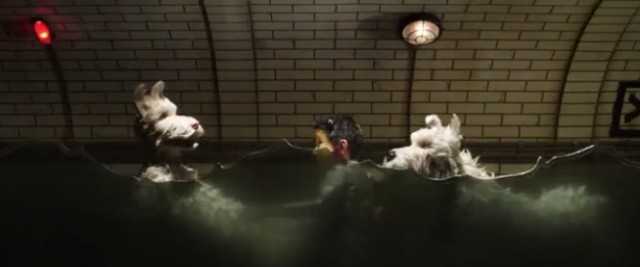 Köpek Adası Fotoğrafı