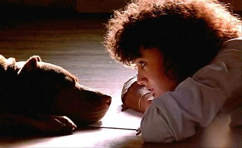 Flashdance Fotoğrafı