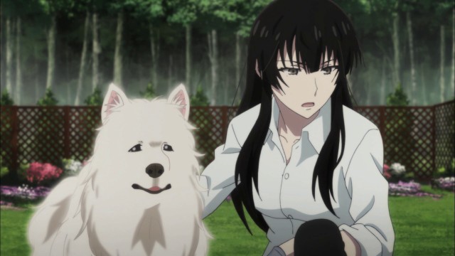 Sakurako-san no Ashimoto ni wa Shitai ga Umatteiru Fotoğrafı
