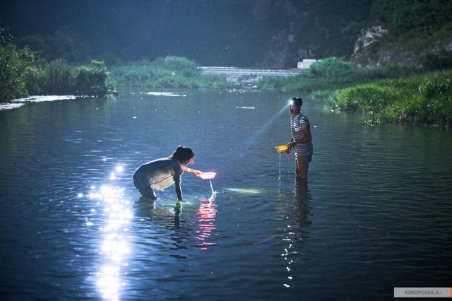 Little Forest Fotoğrafı
